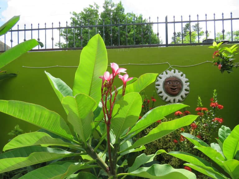 Tropical garden area, vacation rental condo in Cozumel, Mexico